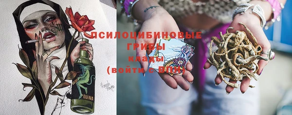 прущая мука Вязники