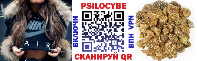 продажа наркотиков  Холмск  Галлюциногенные грибы MAGIC MUSHROOMS 